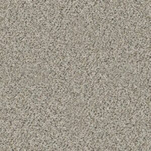 ALL SET II by Shaw Floors - Silversmith