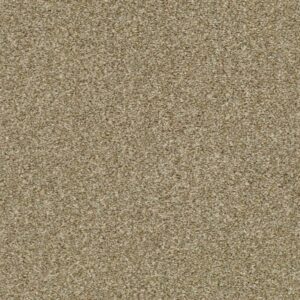 CABANA LIFE (T) by Shaw Floors - Dried Clay