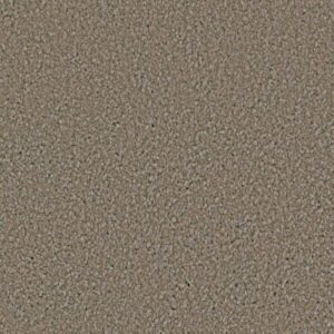 LAGUNA BEACH by Shaw Floors - Havana