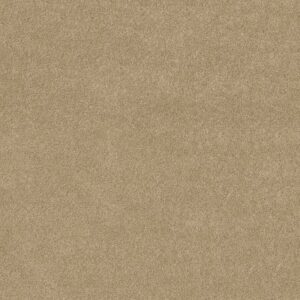TIP OF THE HAT by Shaw Floors - Field Stone