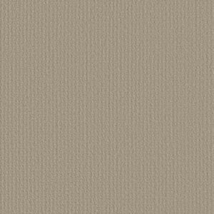 COMPLETE CONTROL by Shaw Floors - Studio Taupe