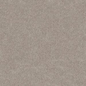MAKE IT WORK by Shaw Floors - Nature'S Essent