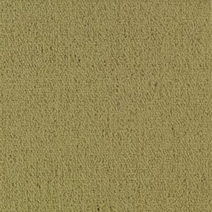 COLOR ACCENTS BL by Philadelphia Commercial - Herbal