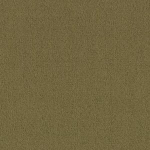 COLOR ACCENTS BL by Philadelphia Commercial - Aloe