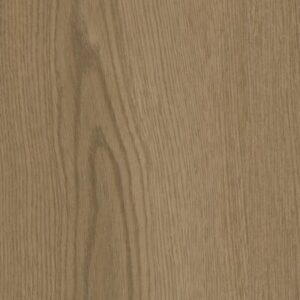 Philosopher's Tree by Philadelphia Commercial - Canyon