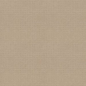 TOWN SQUARE by Shaw Floors - Terrazo