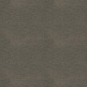 ONE MORE HOUR by Shaw Floors - Legendary