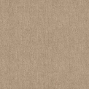 ONE MORE HOUR by Shaw Floors - Pale