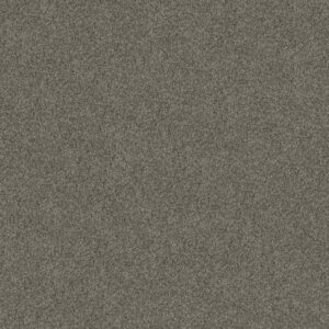 YES YOU CAN I 12' by Shaw Floors - Rerooted Nature
