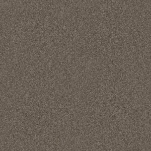 YES YOU CAN I 12' by Shaw Floors - Urban Rustic