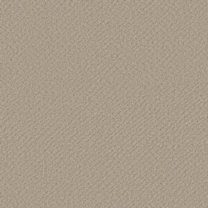 CHIC SHADES by Shaw Floors - Butter Cream