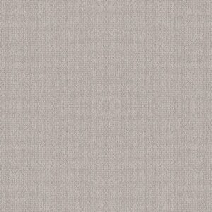 EMBELLISHED by Shaw Floors - Aircraft
