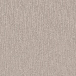 NATURE WITHIN by Shaw Floors - Shoreline