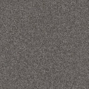 INFLUENCER by Shaw Floors - Sentimental