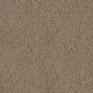 TAKE AWAY (S) by Shaw Floors - Ridge