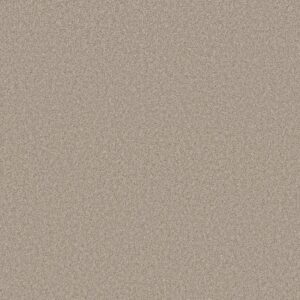 HARMONIOUS III by Shaw Floors - Fossil Path