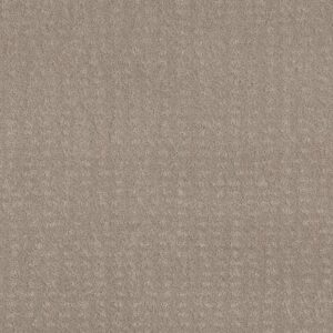 CHIC NUANCE by Shaw Floors - Fossil Path