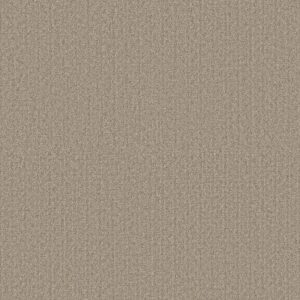 SECRET PASSAGE by Shaw Floors - Kidskin