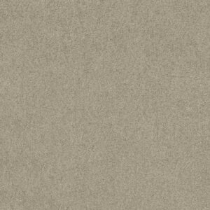 HARLEY STREET I by Shaw Floors - Gray Whisper