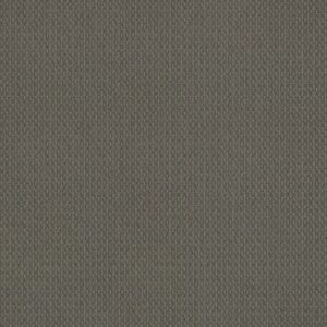 MODESTA by Shaw Floors - City Scape