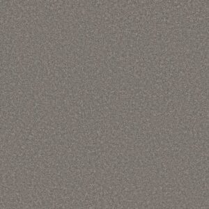 BOUNDLESS IV by Shaw Floors - Flannel