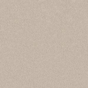 SMOOTH TALK I by Shaw Floors - Angel Cloud