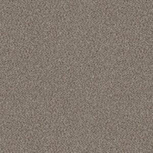 TRUSPIRIT II by Shaw Floors - Iron Works