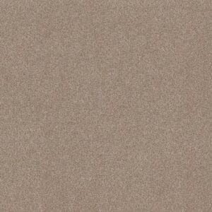 TRUSPLENDOR by Shaw Floors - Cottage