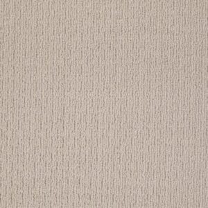 CASUAL MOOD by Shaw Floors - Iced Gray