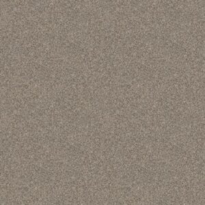 GRANDIOSE by Shaw Floors - Sandstone
