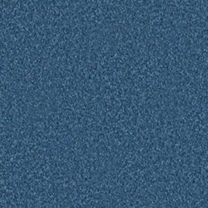 ALL STAR WEEKEND II 12' by Shaw Floors - Indigo