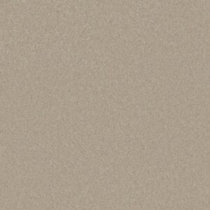 STEP RIGHT UP I 15' by Shaw Floors - Ecru