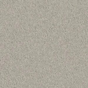 STEP RIGHT UP I 15' by Shaw Floors - Dove Tail