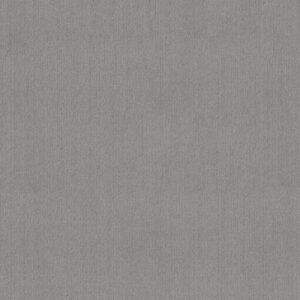 INSIGHTFUL WAY by Shaw Floors - Silver Springs