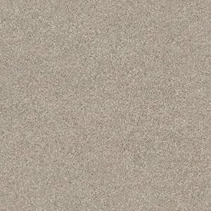 MOMENTUM I by Shaw Floors - Driftwood