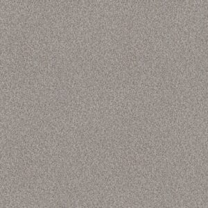 CABANA LIFE (B) by Shaw Floors - Winter