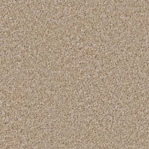 DREAMIN' 12' by Shaw Floors - Macaroon