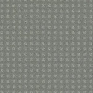 NOTTINGHAM by Shaw Floors - Clear Water