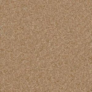 LONESTAR by Shaw Floors - Filoli Honey