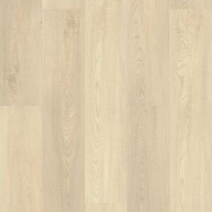 Paladin Plus by Shaw Floors - Silver Dollar