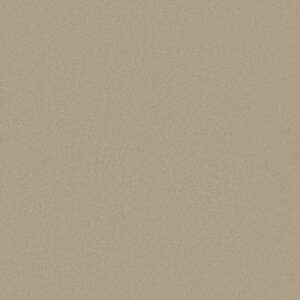 CORNER CAFE 12' by Shaw Floors - Oatmeal