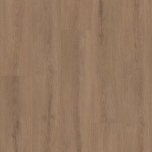 Ascent NB by Shaw Floors - Dwell