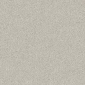 COZY HARBOR I by Shaw Floors - Minimal