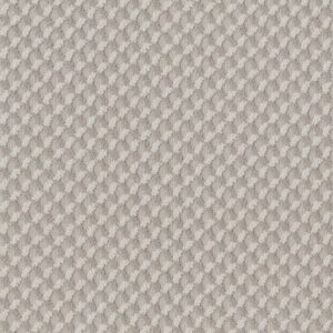 INSPIRED DESIGN by Shaw Floors - Baltic Stone