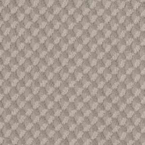 INSPIRED DESIGN by Shaw Floors - Stucco