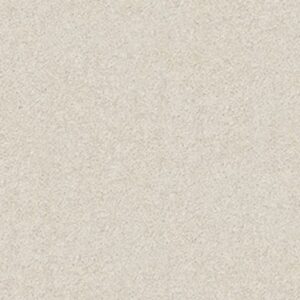 CASHMERE II by Shaw Floors - Cheviot
