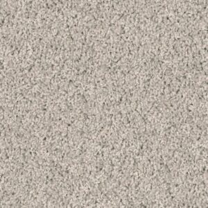 WEATHERFORD by Shaw Floors - Carrera