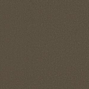 SHINGLE CREEK I 12 by Shaw Floors - Castle Rock