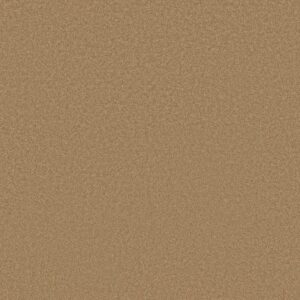 SHINGLE CREEK I 12 by Shaw Floors - Cork