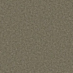 SOPHISTICATION 12' by Shaw Floors - Alpine Fern